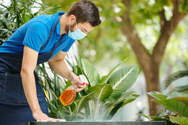 Similar image 20809092