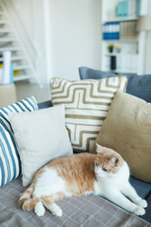 Similar image 20807780