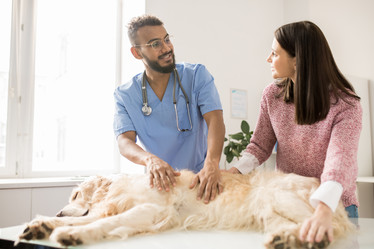 Similar image 20869952