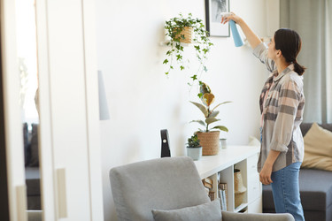 Similar image 20832351