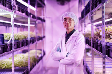 Similar image 20817113