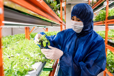 Similar image 20847881