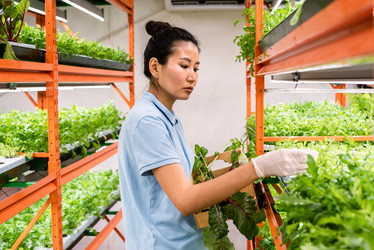 Similar image 20852179