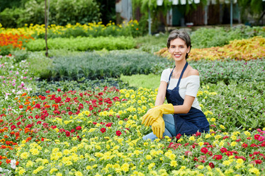 Similar image 20888477