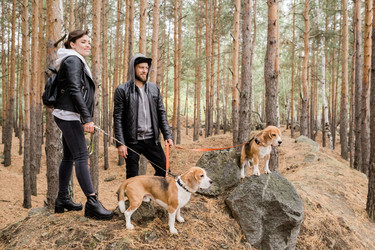 Similar image 20851453