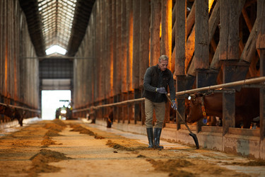 Similar image 20808630