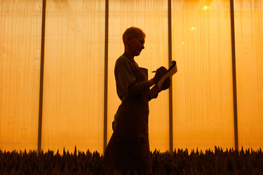 Similar image 20824061