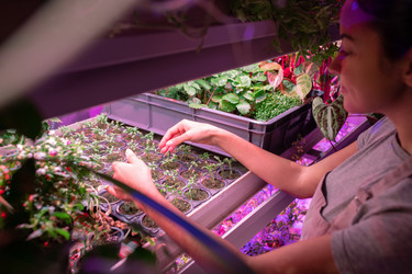 Similar image 20823644