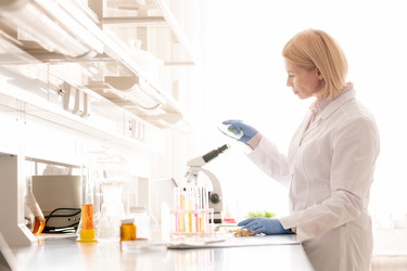 Similar image 20868206