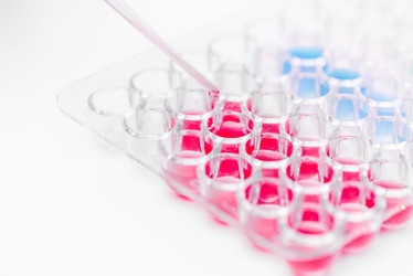 Similar image 20818365