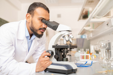 Similar image 20866663