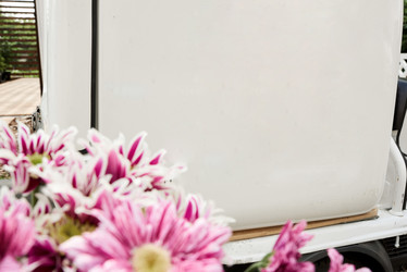 Similar image 20848029