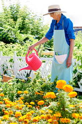 Similar image 20852730