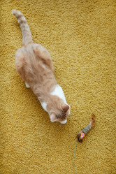 Similar image 20796453