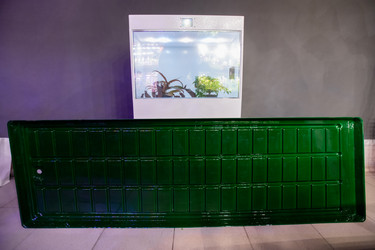 Similar image 20795179