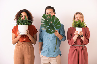 Similar image 20795805