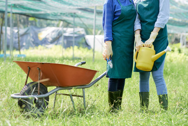 Similar image 20858365