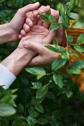 Similar image 20828984