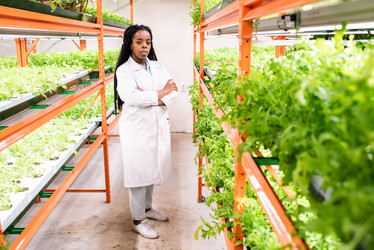 Similar image 20859071