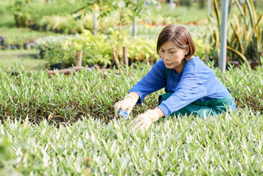 Similar image 20857052