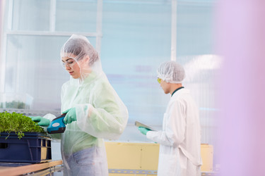 Similar image 20791288