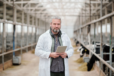 Similar image 20841156