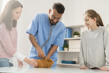 Similar image 20850440