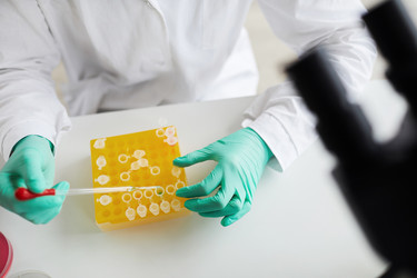 Similar image 20888451