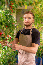 Similar image 20794258