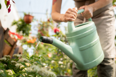 Similar image 20856024