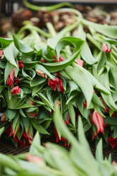 Similar image 20829373