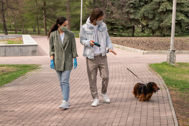 Similar image 20833246