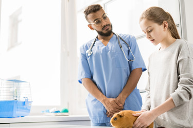 Similar image 20875082