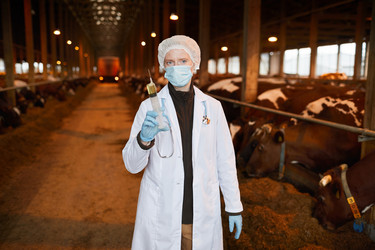 Similar image 20792163