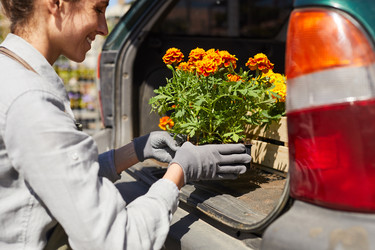 Similar image 20812203