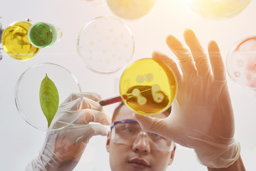 Similar image 20868057