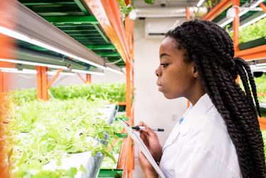 Similar image 20872984