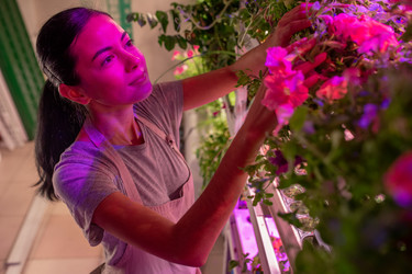 Similar image 20802745