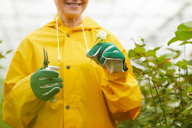 Similar image 20826142