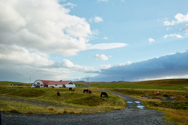 Similar image 20806821