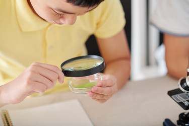 Similar image 20806590