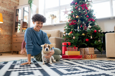 Similar image 20790335