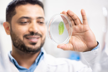 Similar image 20878924