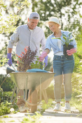 Similar image 20855724