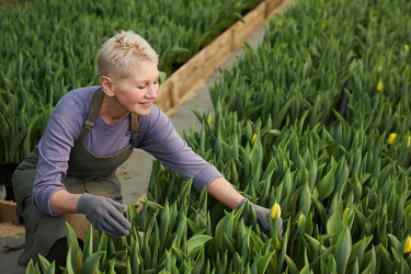 Similar image 20831216