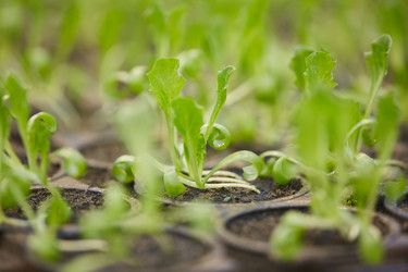 Similar image 20834169