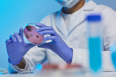 Similar image 20877881