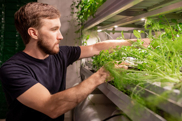 Similar image 20792350