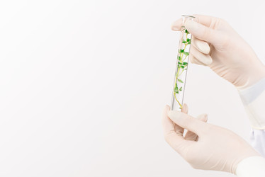 Similar image 20837647