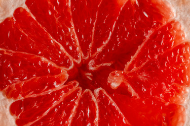 Similar image 20833088